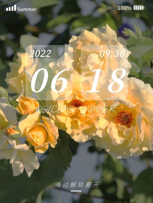 夏天风景晒照手机模拟界面风plog模板预览效果