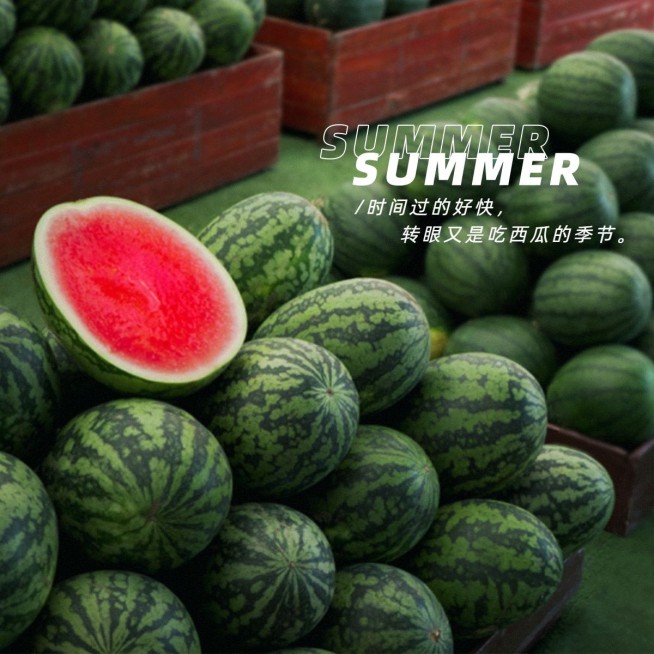 词卡夏天晒水果日常简约风plog模板预览效果