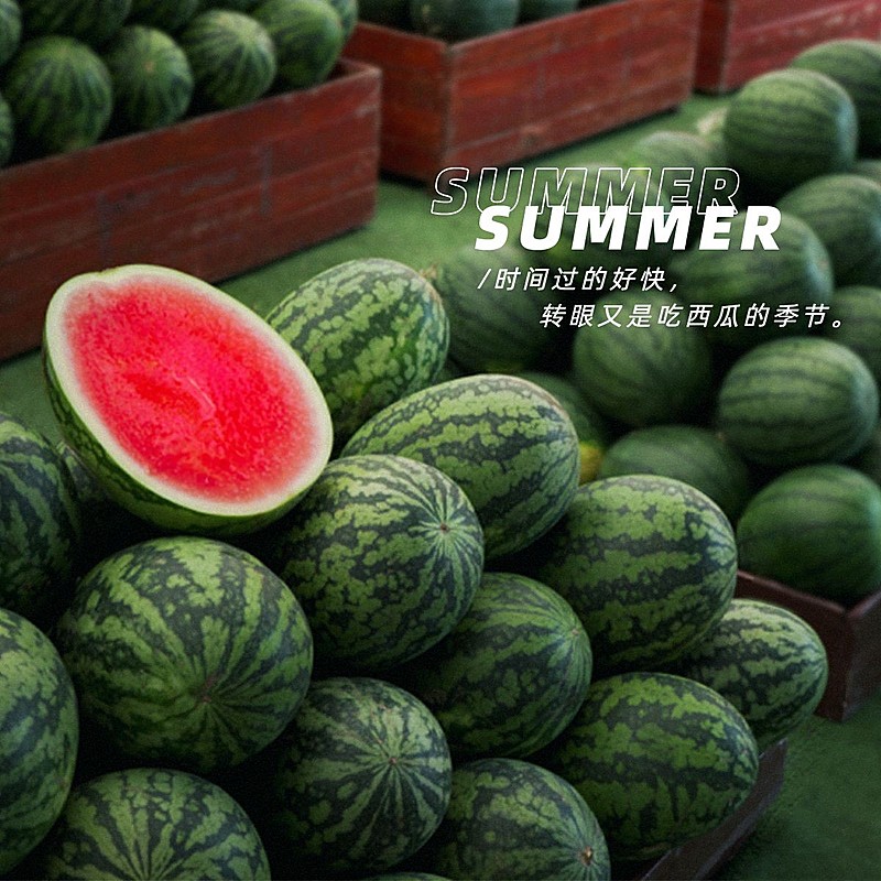 词卡夏天晒水果日常简约风plog模板