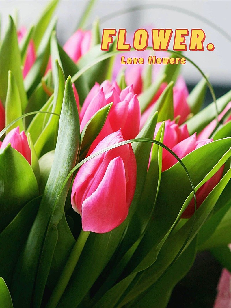 晒花词卡生活分享简约风plog模板