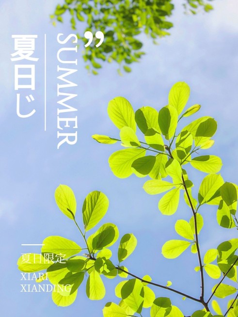 夏日风景分享清新简约风plog模板预览效果