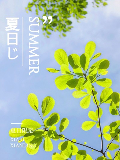 夏日风景分享清新简约风plog模板