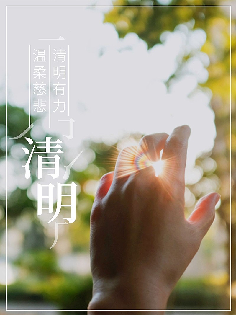 清明-节气樱花风景节气祝福中国风plog模板