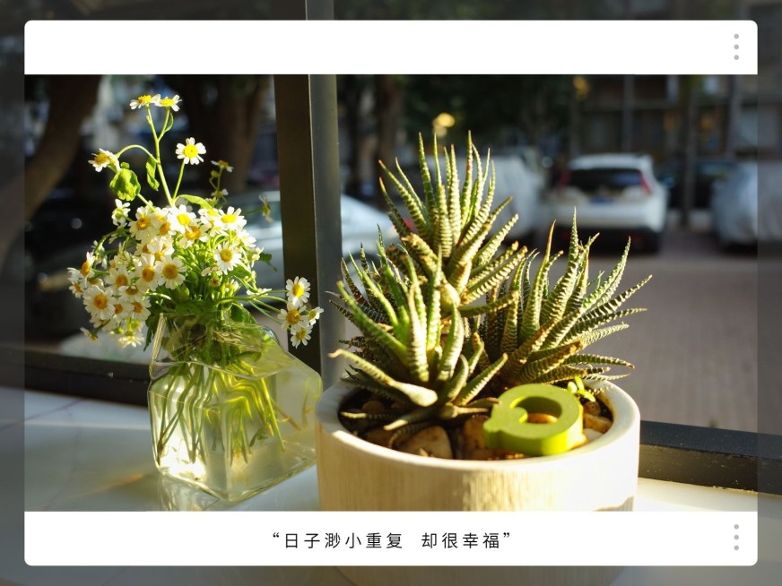 晒物品乐高积木简约风plog模板预览效果