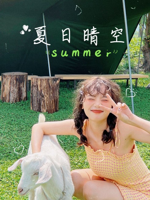 五一假期穿搭旅游记录简约风plog模板预览效果