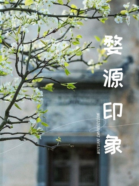 热门城市旅游记录简约风plog模板预览效果