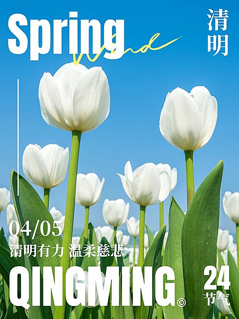 清明-节气春天节气祝福清新风plog模板