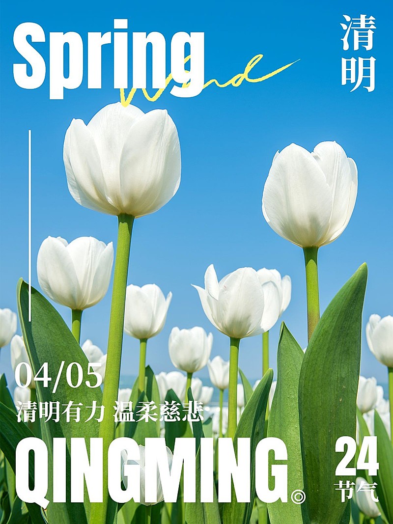 清明-节气春天节气祝福清新风plog模板