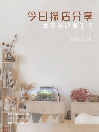 探店打卡店内中景分享文艺风plog模板
