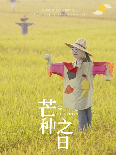 芒种节气风景祝福文艺风plog模板