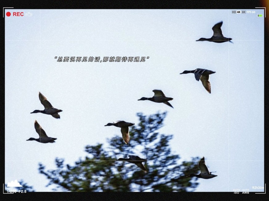 风景黄昏字幕简约风plog模板预览效果