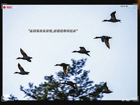 风景黄昏字幕简约风plog模板
