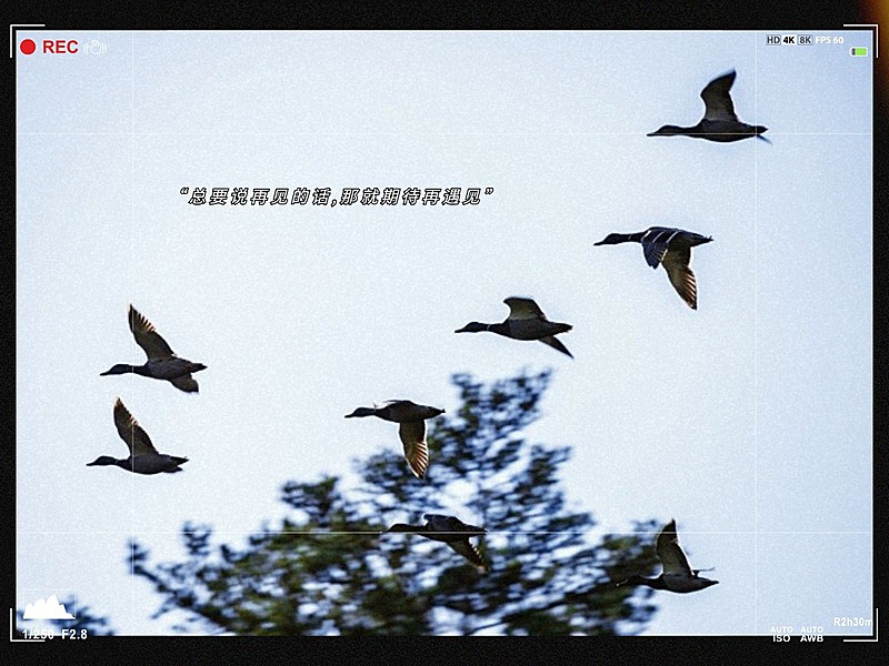 风景黄昏字幕简约风plog模板