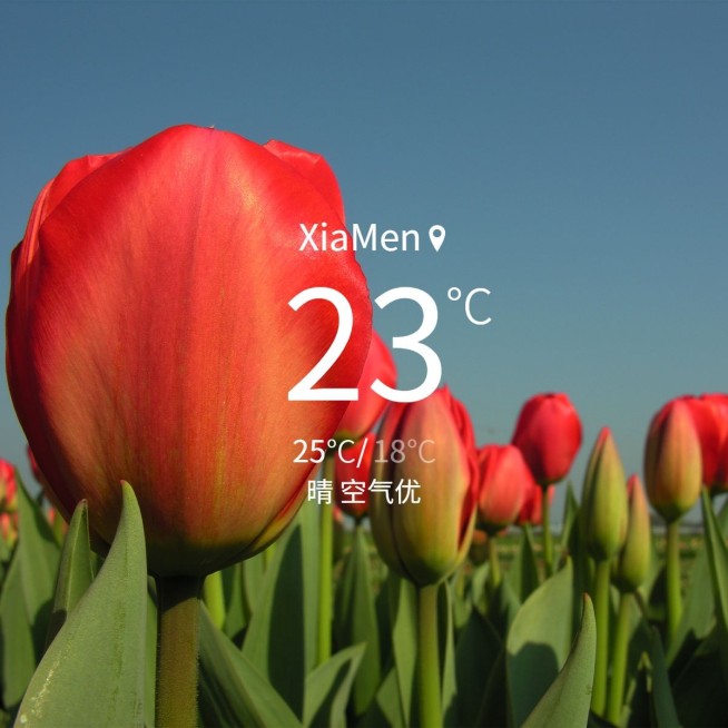 词卡晒花日常简约风plog模板预览效果