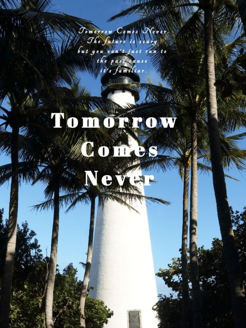 摄影排版风景照简约风plog模板预览效果