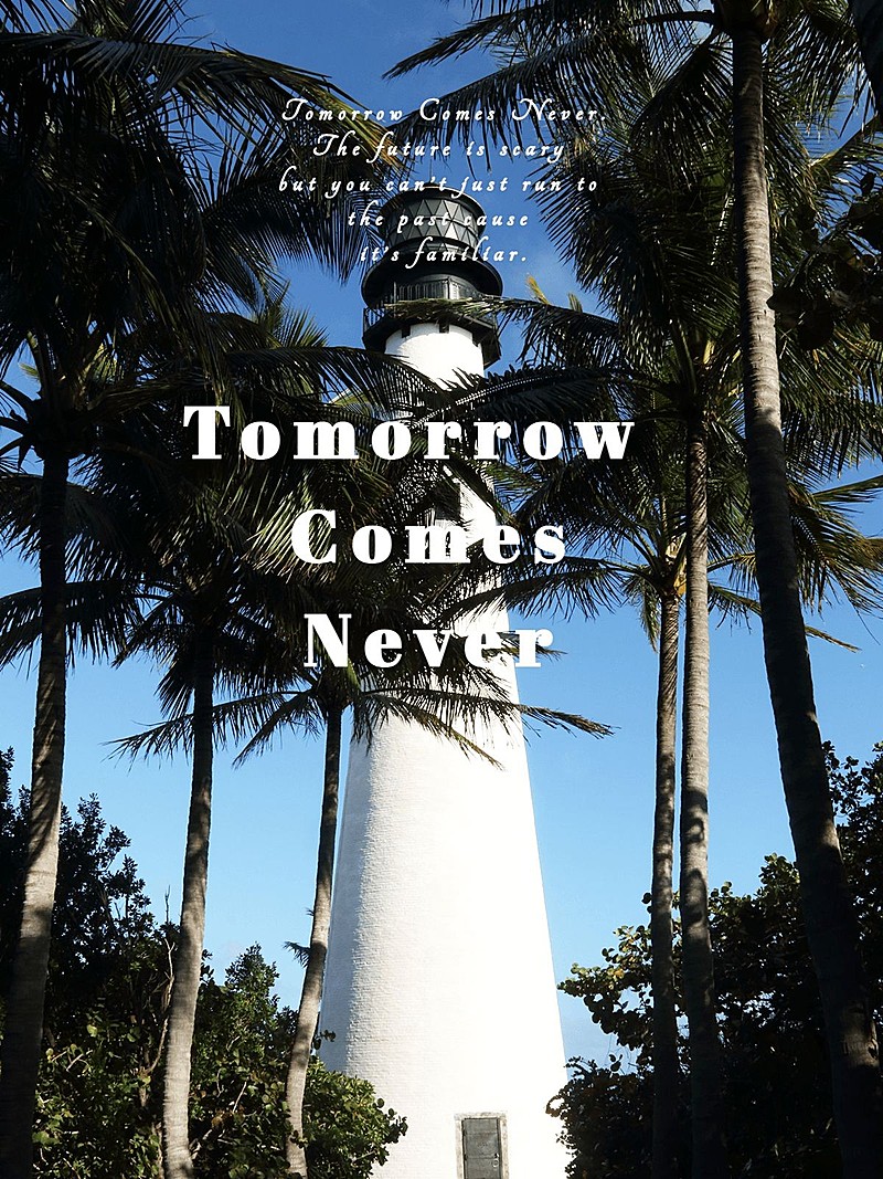 摄影排版风景照简约风plog模板