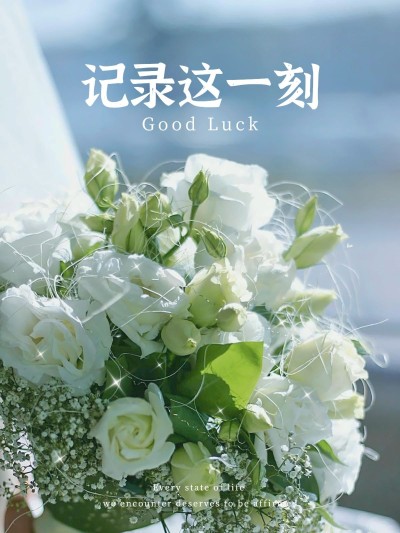 日常生活记录晒花简约风plog模板