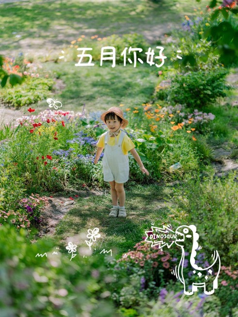 5月你好晒照文艺风plog模板预览效果