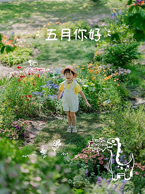 5月你好晒照文艺风plog模板