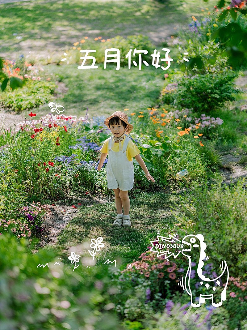 5月你好晒照文艺风plog模板