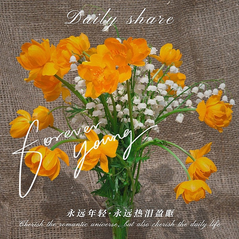 日常生活晒花分享简约风plog模板