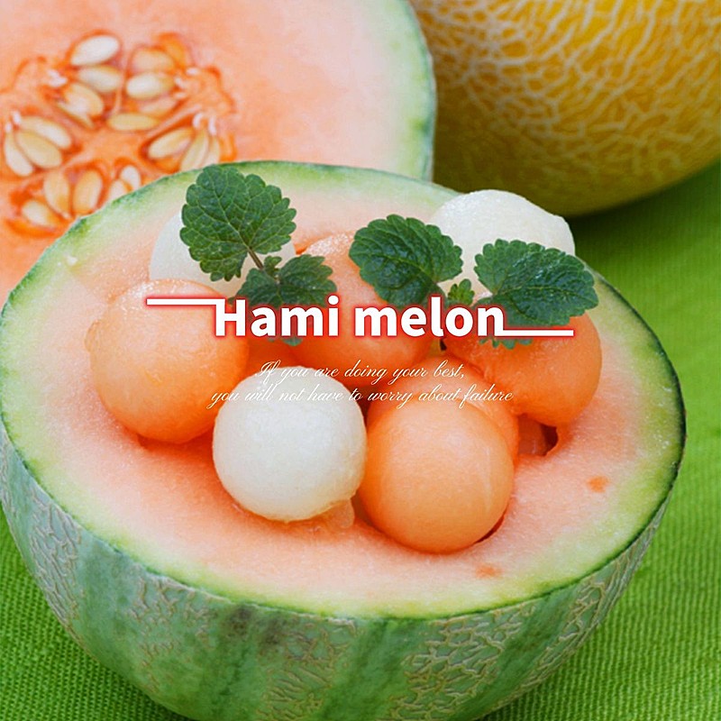 词卡晒水果日常简约风plog模板