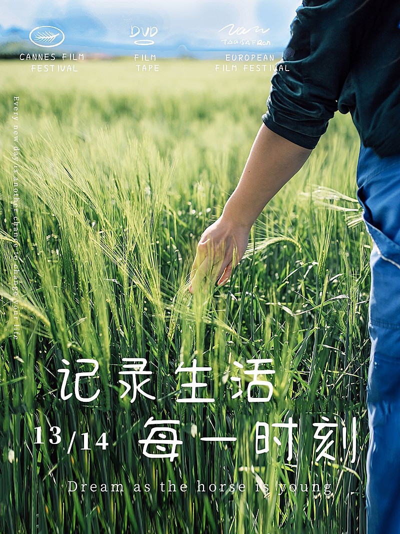 生活麦穗风景通用文艺风plog模板