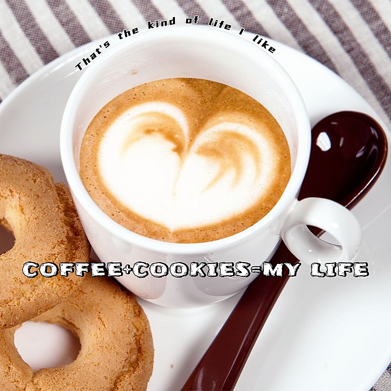 词卡晒饮料简约风plog模板