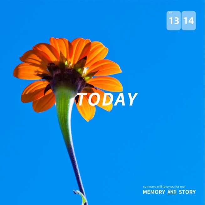 词卡今日晒照一天简约风plog模板预览效果