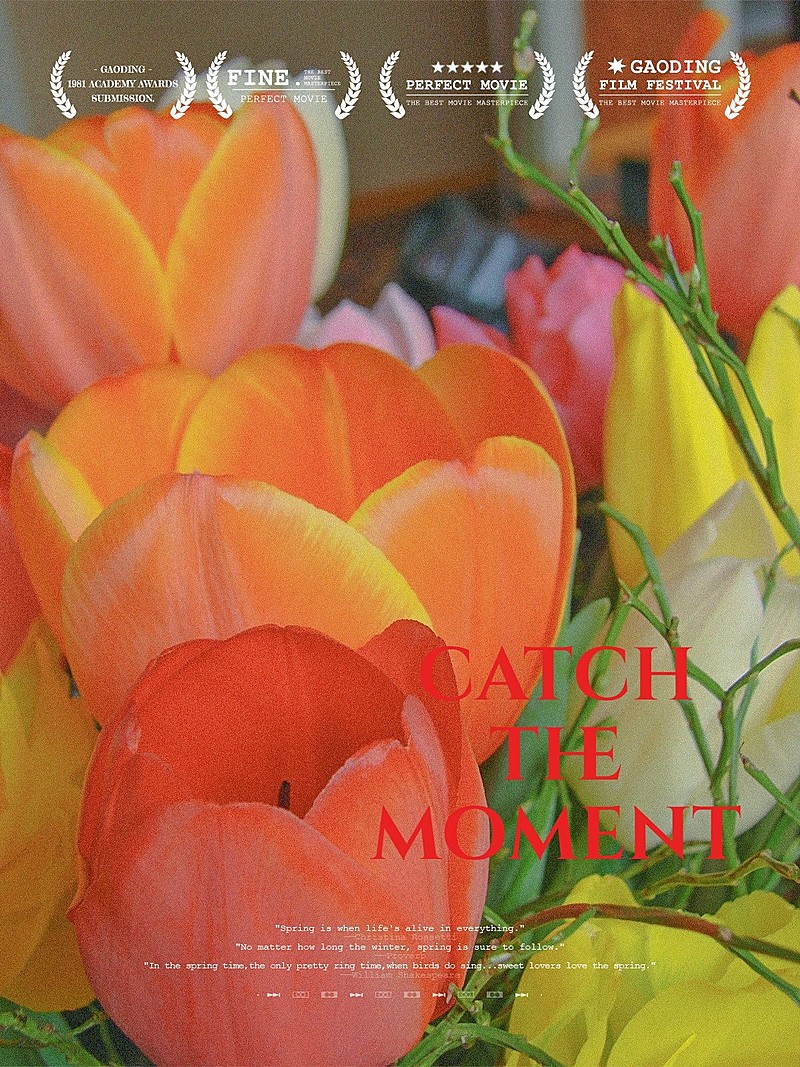 日常生活记录晒花文艺风plog模板