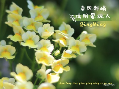 清明外出登山简约风plog模板