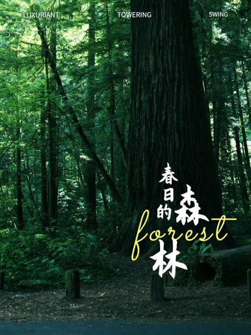 旅游风光晒照旅游记录文艺风plog模板预览效果