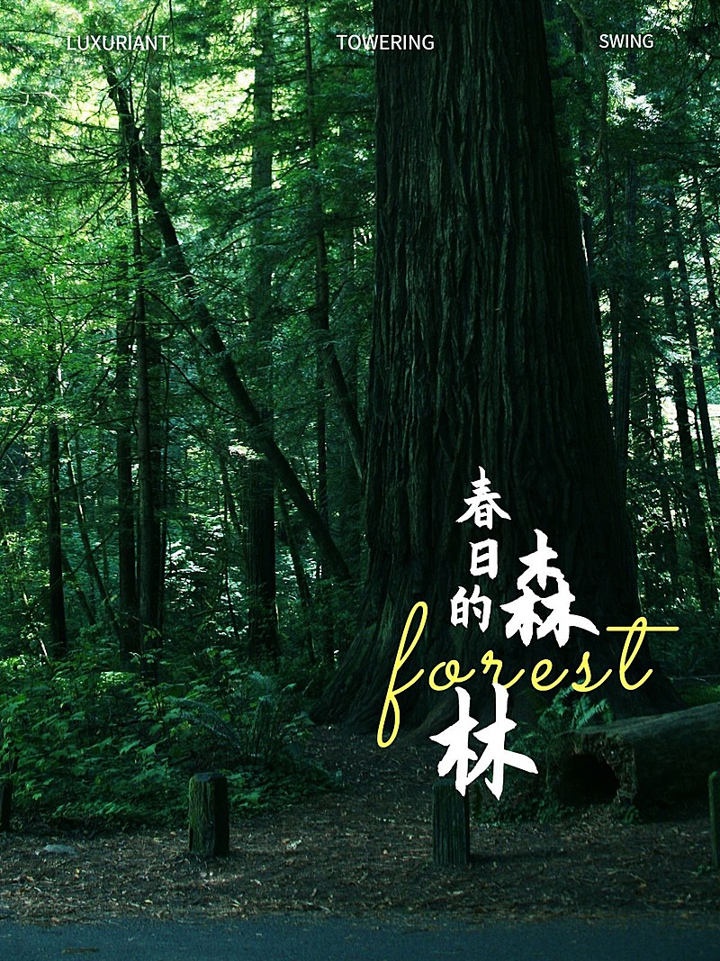 旅游风光晒照旅游记录文艺风plog模板