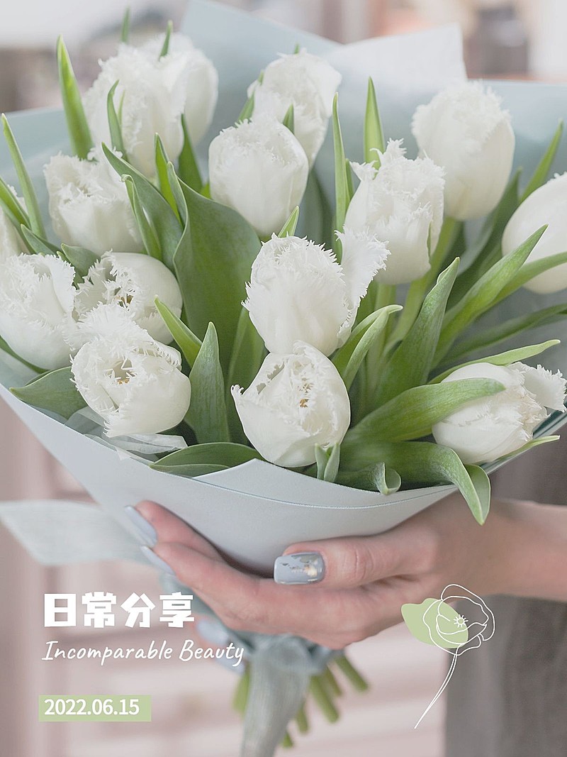 日常记录晒花简约风plog模板