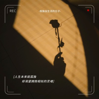 词卡消极情绪晒照简约风plog模板