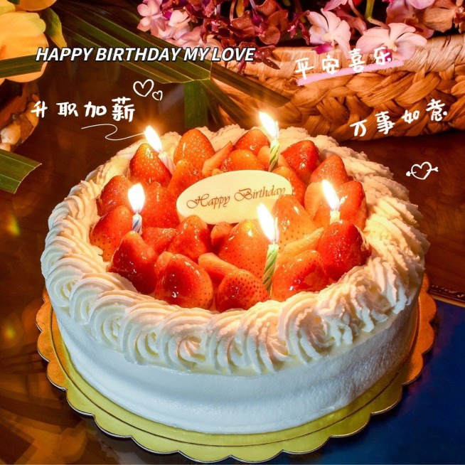 生日蛋糕祝福晒照简约风plog模板预览效果