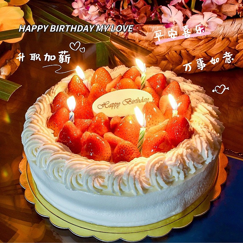 生日蛋糕祝福晒照简约风plog模板