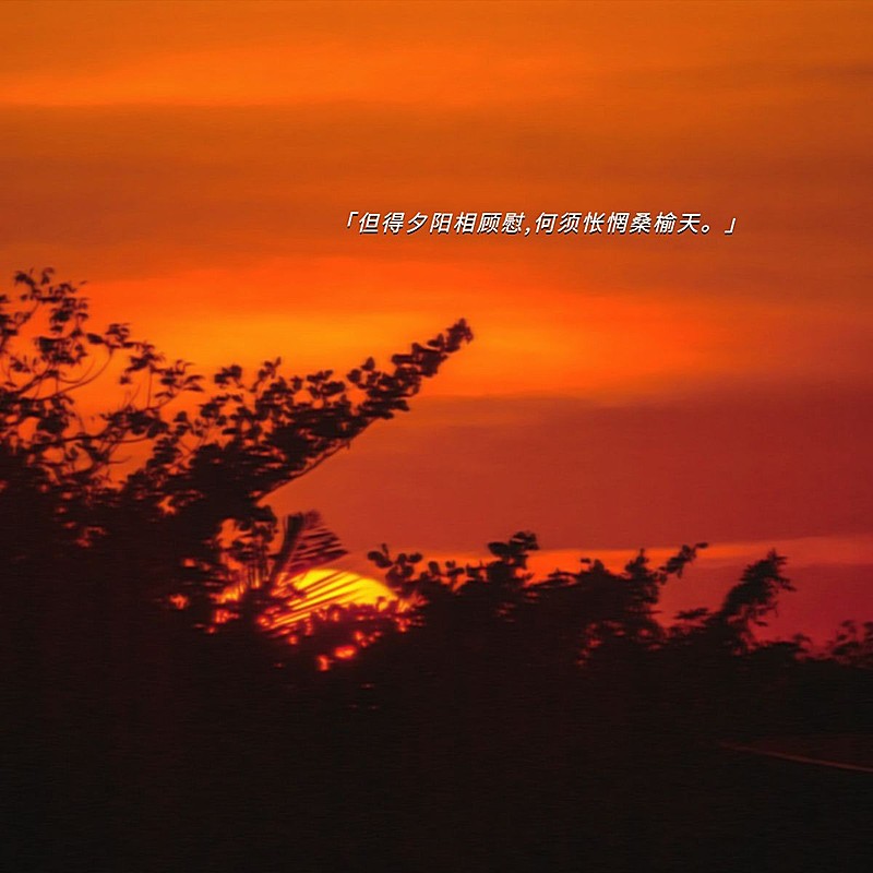 风景黄昏字幕简约风plog模板