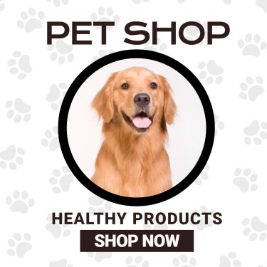 Black Circle Frame Pet Supplies Promo Ecommerce Product Image