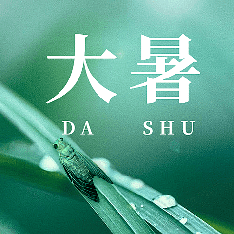 大暑节气祝福夏天实景公众号次图