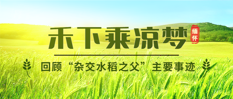 缅怀伟人农耕节约粮食公众号首图