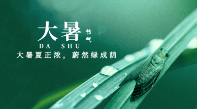 大暑节气祝福夏天实景横版海报