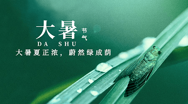 大暑节气祝福夏天实景横版海报