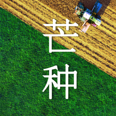 芒种节气祝福稻田农耕公众号次图