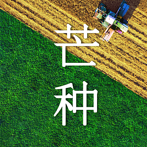 芒种节气祝福稻田农耕公众号次图