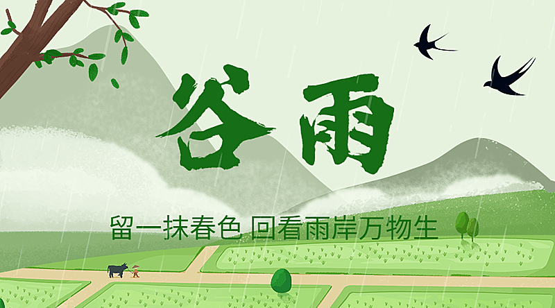 谷雨节气祝福春天实景横版海报