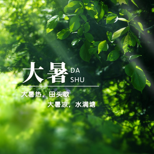 大暑节气祝福实景夏天方形海报预览效果