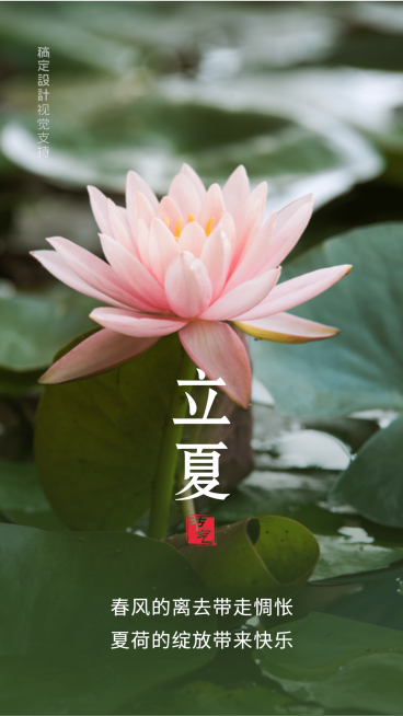 立夏荷花荷叶温馨问候祝福预览效果