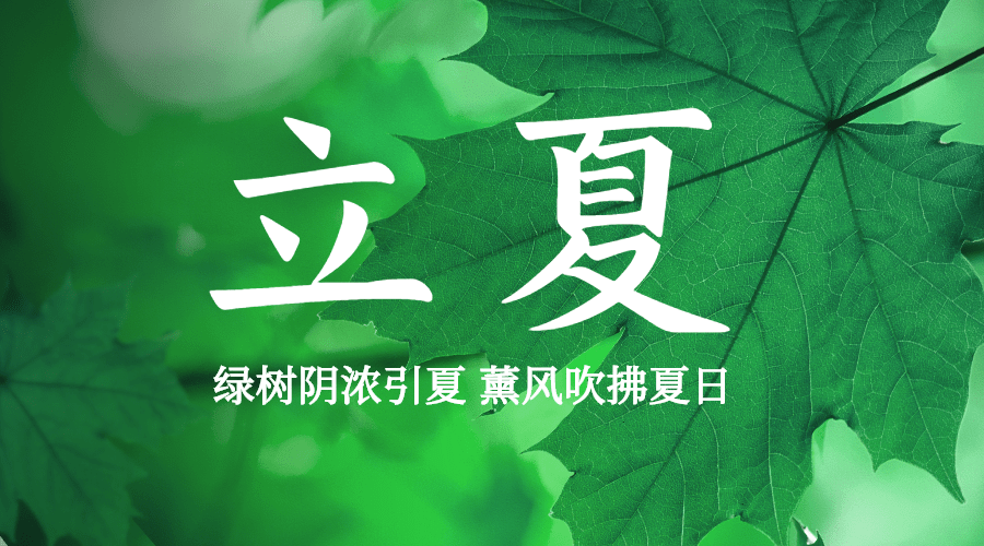 立夏节气祝福问候夏天广告banner预览效果
