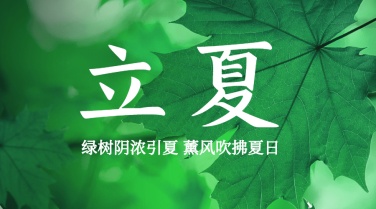 立夏节气祝福问候夏天广告banner